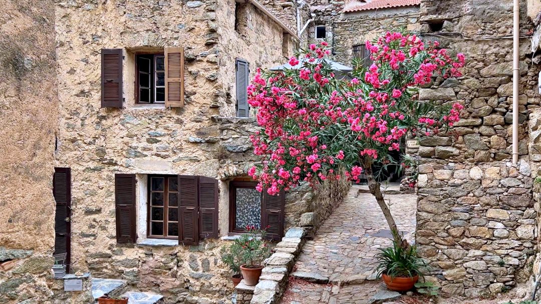 Lama Village-Where History and Natural Beauty Converge - 第1張圖 Lama village