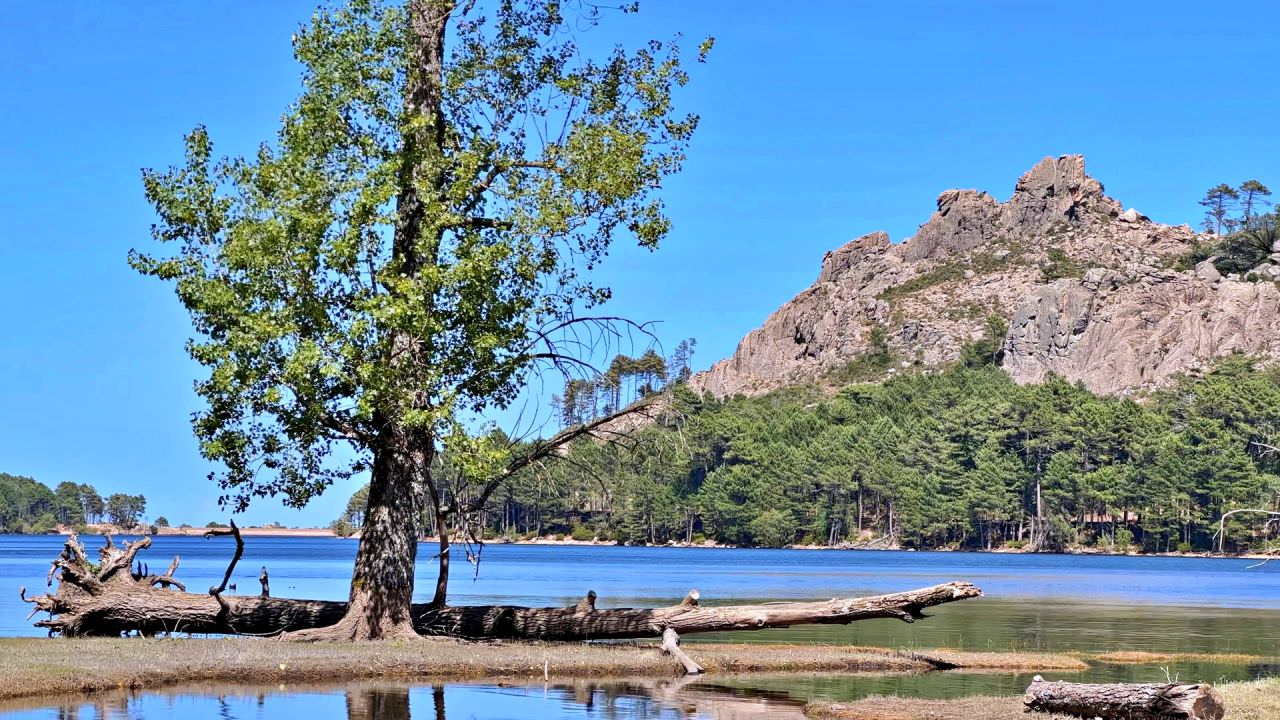 Experience 10 Days of Corsican Wilderness: Embracing Nature’s Majesty - 第8張圖 Ospedale