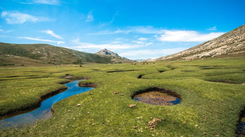 First-Time in Corsica? 7 Ideas and Helpful Tips You Need to Know - 第5張圖