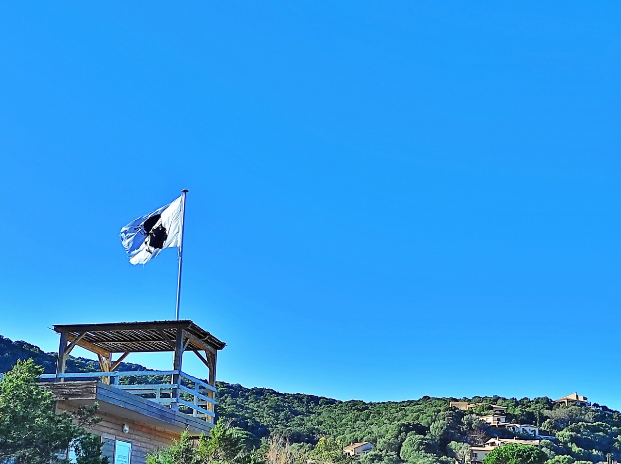 Corsica flag