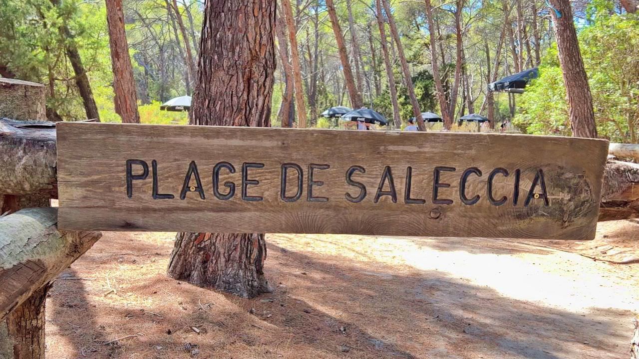 Saleccia Beach: Corsica’s Untouched Paradise - 第7張圖