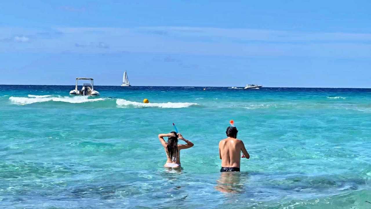 Roccapina Beach: A Coastal Gem of Gold and Blue - 第2張圖