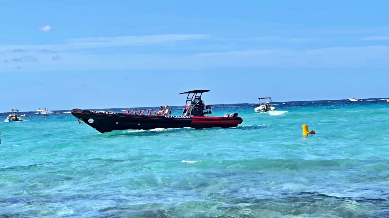 Saleccia Beach: Corsica’s Untouched Paradise - 第9張圖